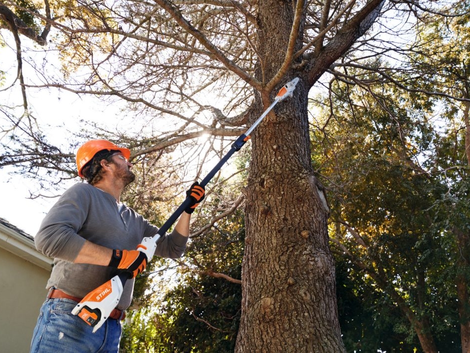 Hochentaster - Stihl HTA 50